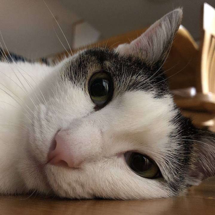 6ae95c5b 4db0 467f 958b 3581c7036319 1663101103026