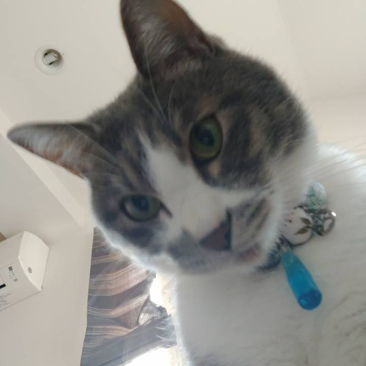 6ae96ad9 158c 470e 8800 53145378031b 1670038889175