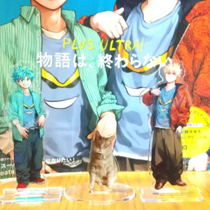 6ae991cf 6845 4140 98e3 71e32eb25fab 1752324456171