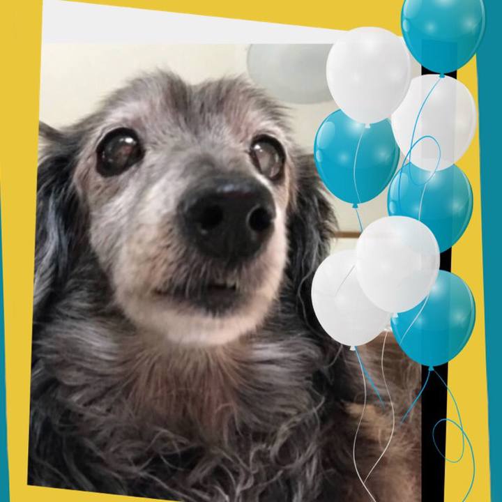 6ae9d49a b5b5 4427 a08f 4286827f3972 1517955114286