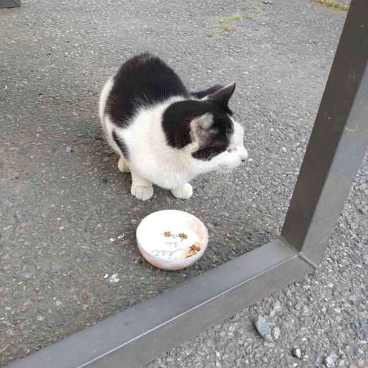 6aea0367 3323 4b32 9534 3f2f89743592 1745282733898