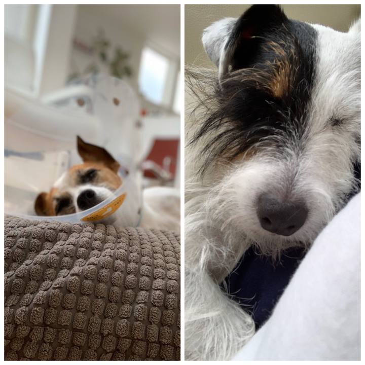 6aea131c a7aa 44e3 919d 34c0759312ef 1570428910477