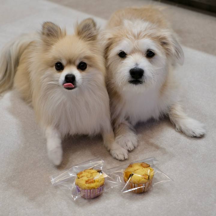 6aea25b9 6dd3 4f1c 94b9 27cf6ea48490 1770935322815