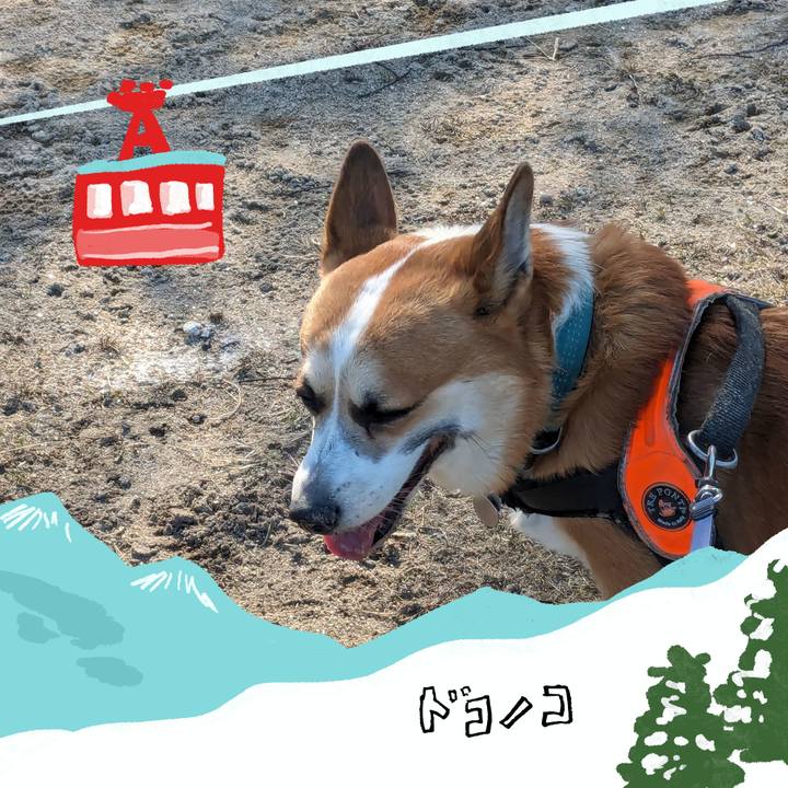 6aea27d4 6afd 4a15 8cd9 692073a71a42 1706778603906