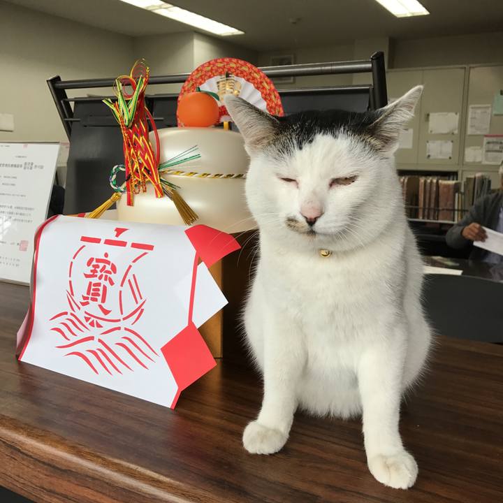 6aea3c95 d180 4d71 b48a cb1460a138a4 1515463615134