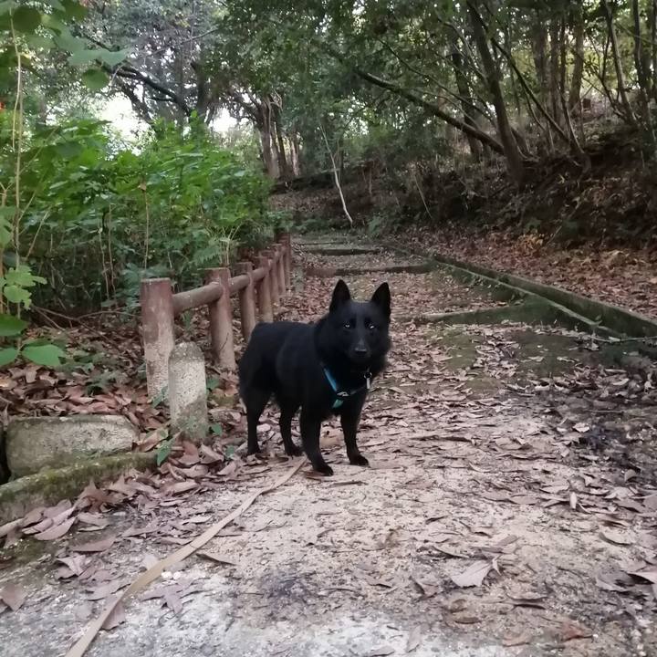 6aea6204 2e3e 4f11 964d 375bfcdcc542 1668030195123