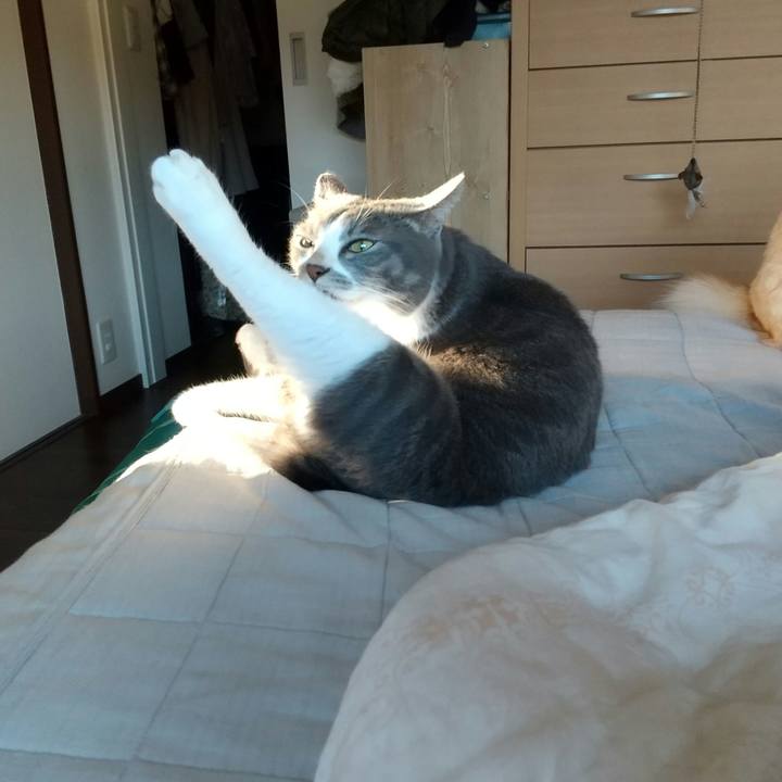 6aea64eb 3767 4064 ab71 2ac6fd23e34e 1633908482071