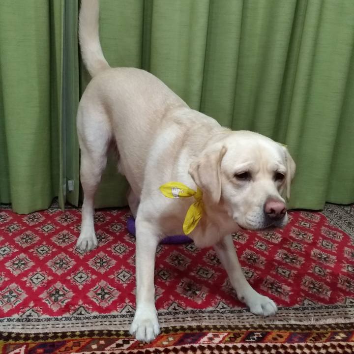 6aea7dc1 a300 406a 9efb fdbf1d4884d6 1542283296107