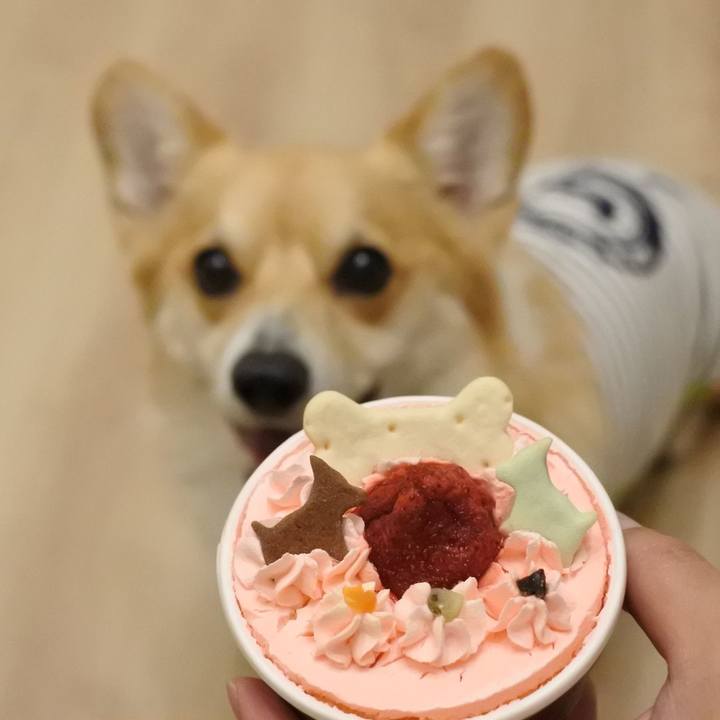 6aea9002 f007 4202 9067 e5911451d4d3 1558796189606