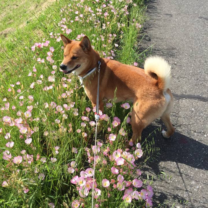 6aeb487e f5bf 433d ab7e 3bbc0a6a1c87 1525991751235