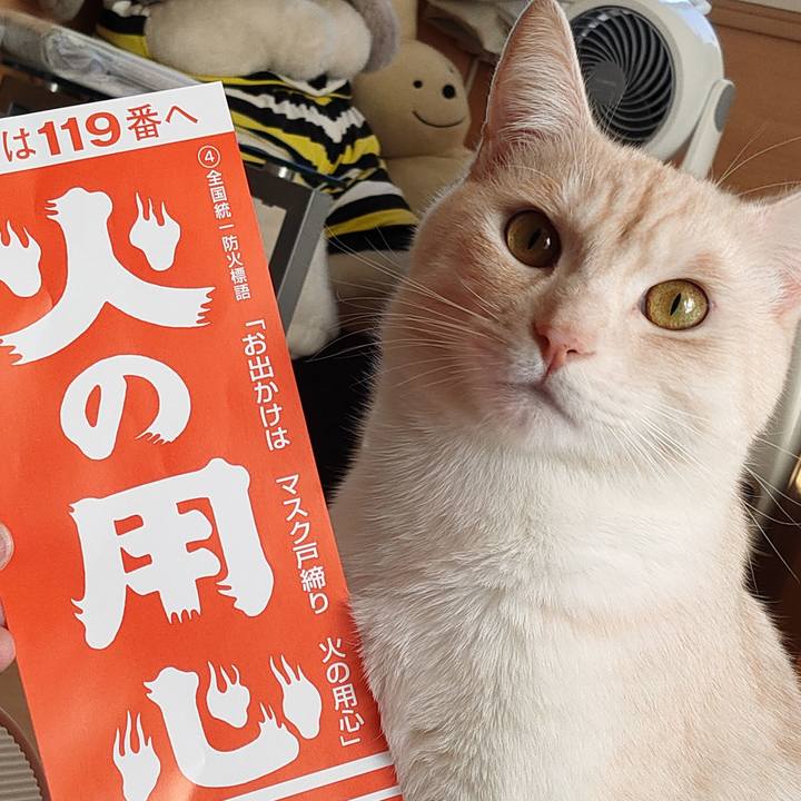 6aeb617d ab44 4a8f b0de c08f7814790c 1671942234610