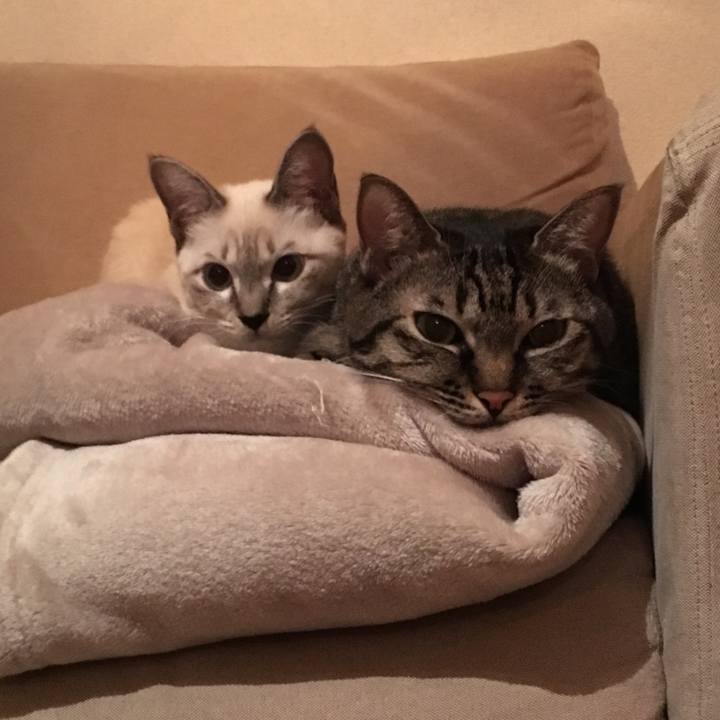 6aeb7bc1 a45a 4535 b4a5 b73e8a93b676 1540807589389