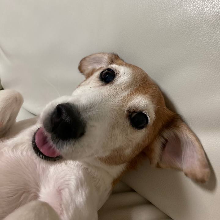 6aeb918f 8433 4c20 963a 2356e3f7bea1 1619150237035