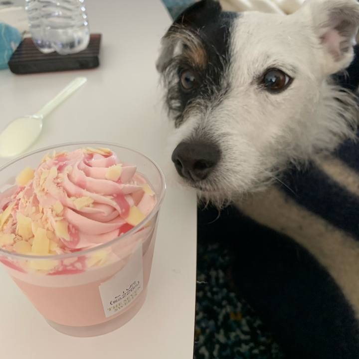 6aeb9207 4f8d 4b0e ab65 4c6fccc29361 1615093131657