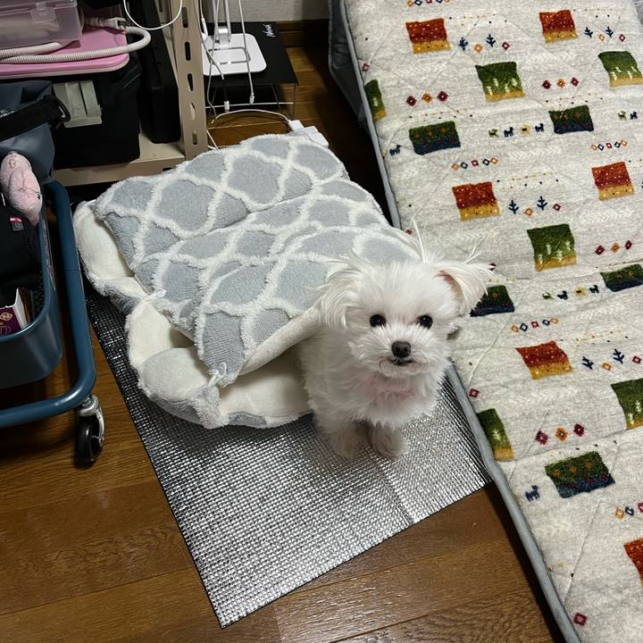 6aebb23c 1257 40cb b62e 60cc1e1c6fb0 1700302353320