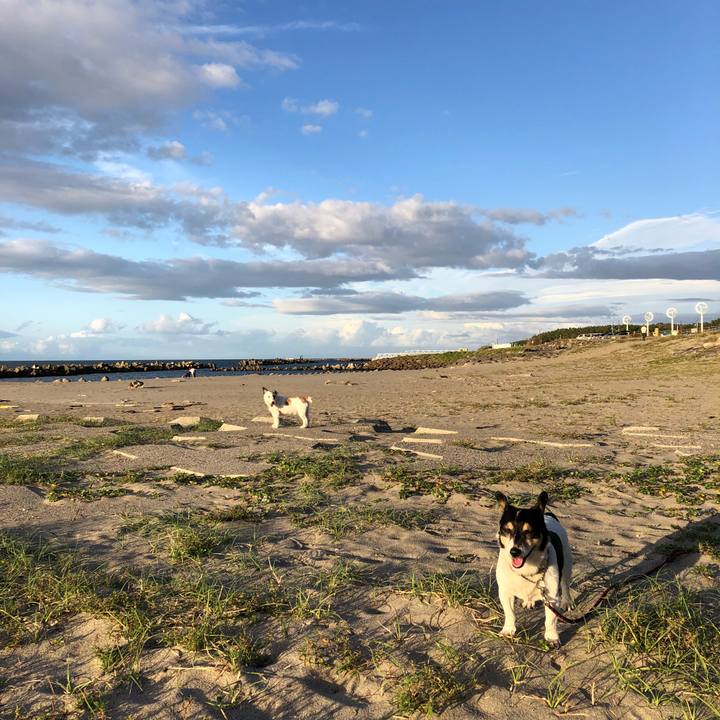 6aebcb04 5983 4465 9ba5 fe405fe65d3c 1537619351661