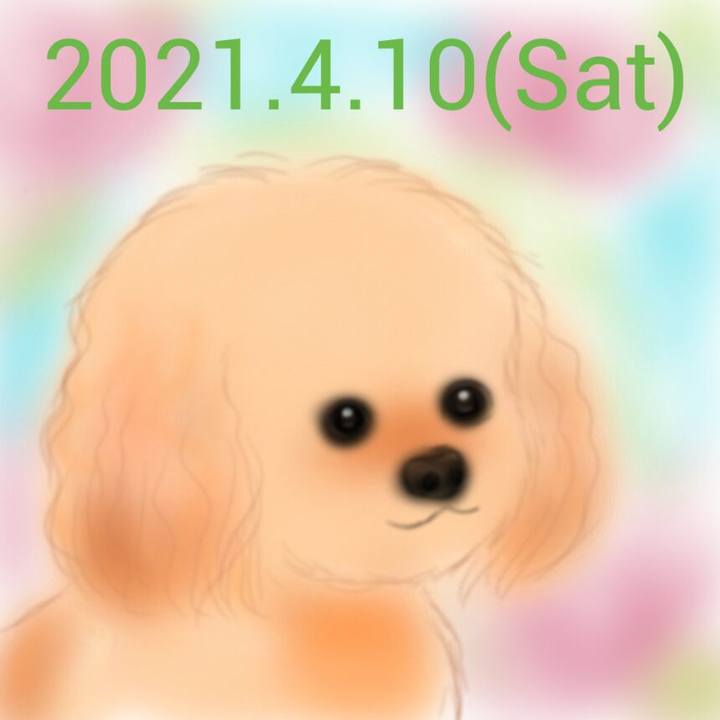 6aebcc94 40d6 4b9b bdd2 08872cc91671 1618059491327