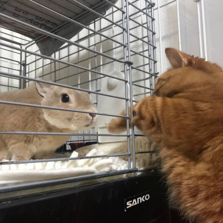 6aebd237 a333 4939 adbd d850dabd8b89 1552211776098