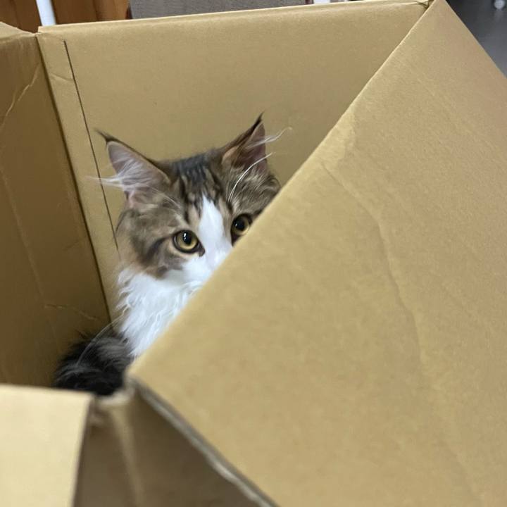 6aec0ea7 c67c 4ce3 94d2 2c295235a494 1638273587830