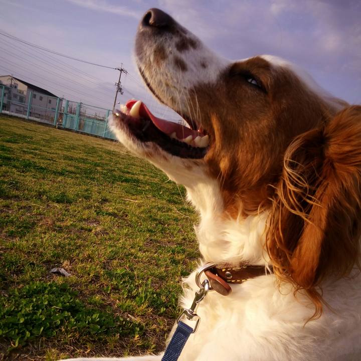 6aec14c7 9b7a 428c a09a ab339b751e05 1521113178562