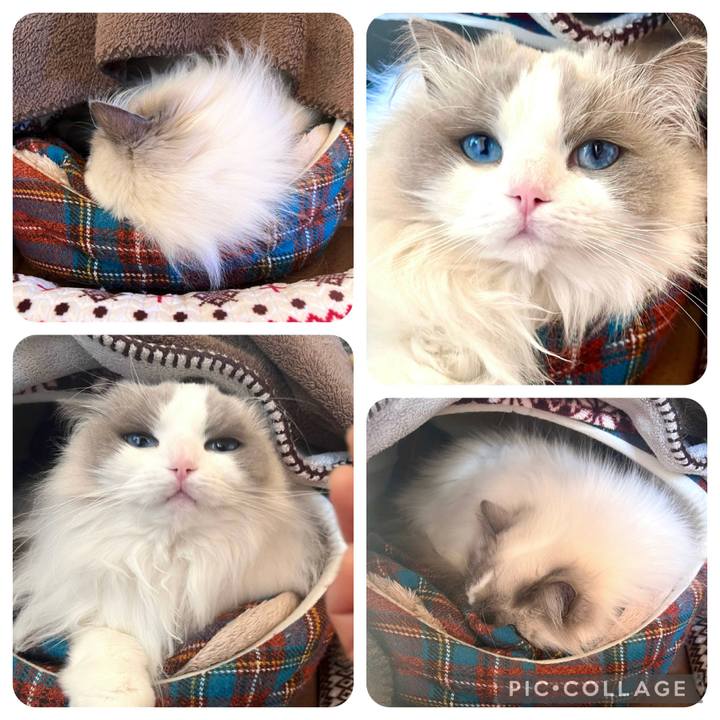 6aec1930 d33e 41d7 be7b ae5ee1f7ddef 1675288361820