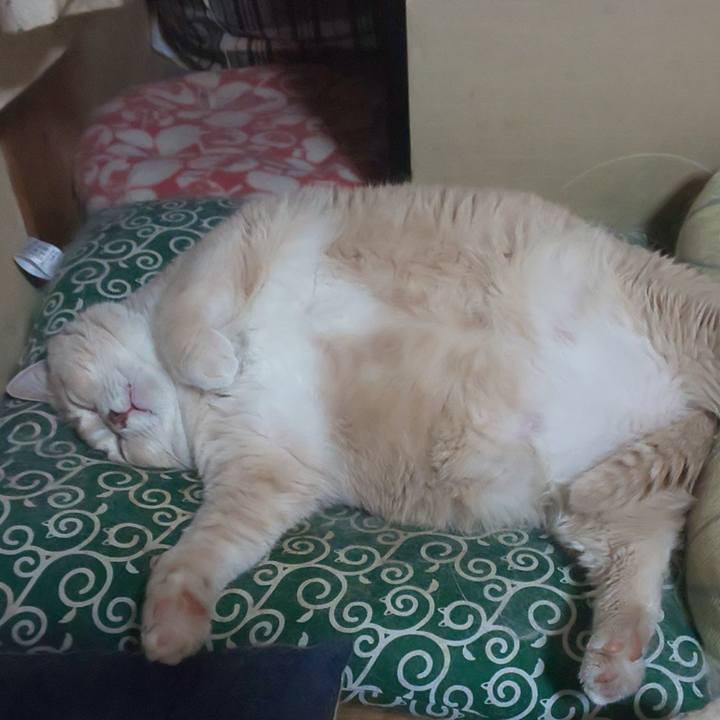 6aec2c0d 8d25 42eb b228 2e745a8fb31c 1644168492168