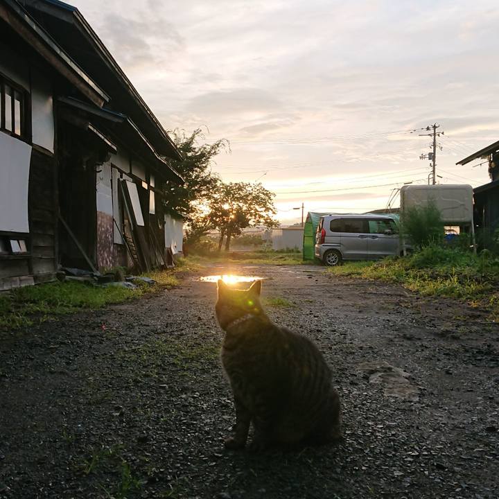 6aec3976 732f 4356 b662 ec538a180d11 1661893894983