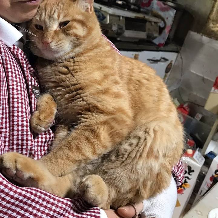 6aec3baf 4619 4a7e 9c52 a3914463a2d6 1651407716248