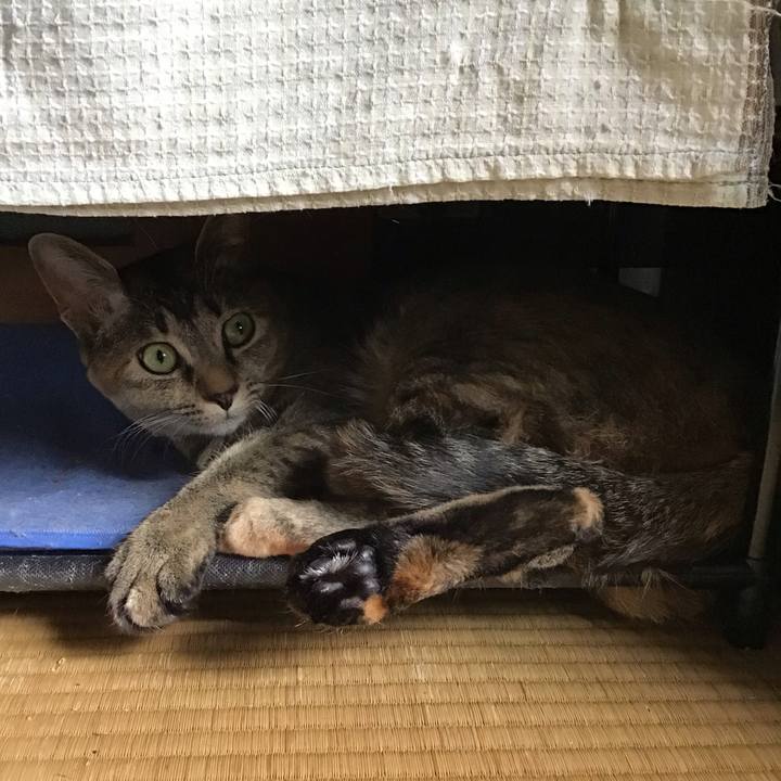 6aec5d3e fd5c 4aa5 98ef cd6f6dd5b17f 1590397657928