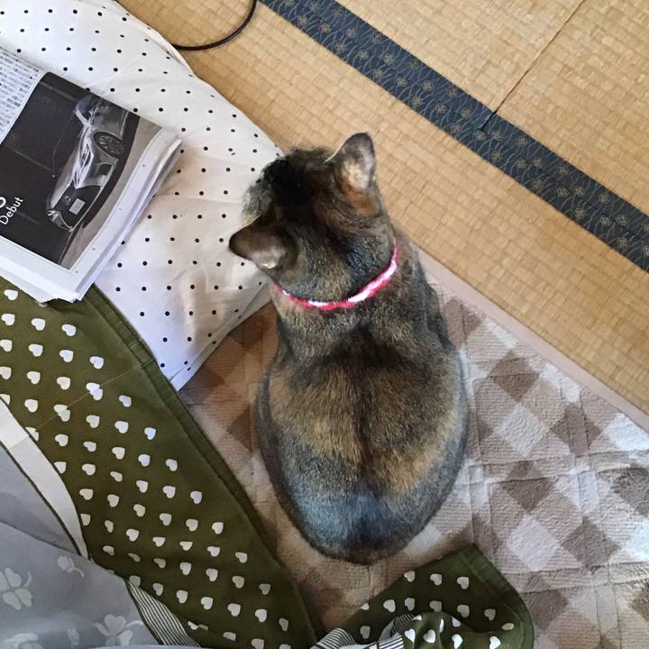 6aec6430 0568 4446 9456 bbb2b894fdd1 1606534849867