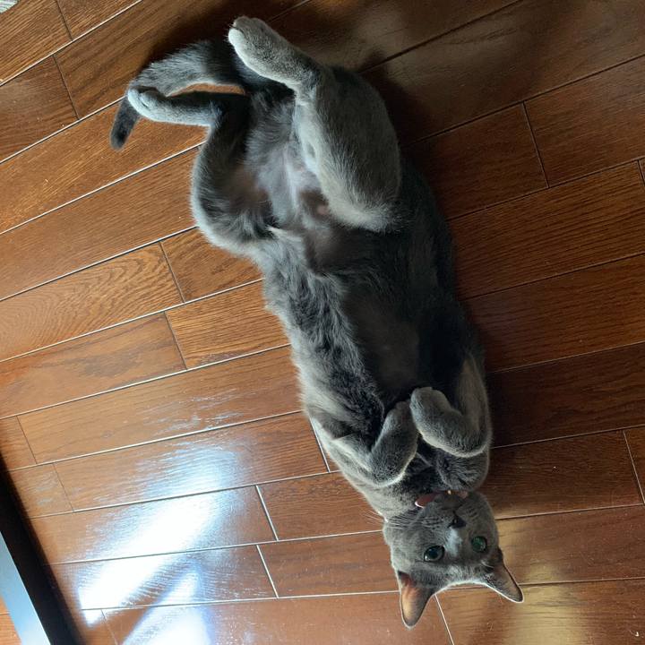 6aec65ba 36fc 4141 9bd4 e050d338b616 1569106428218