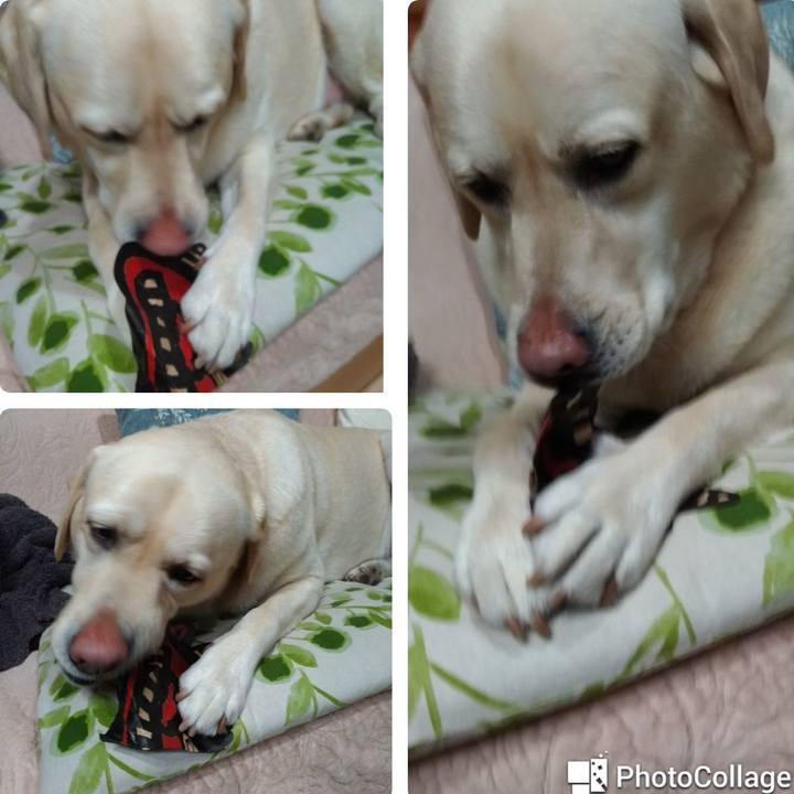 6aec7c87 c8e1 4876 817a d2b5f8a1d0fd 1612262893266