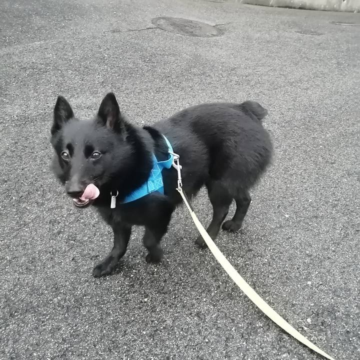 6aecb016 e948 47ce ae83 c9954e026312 1623836919548