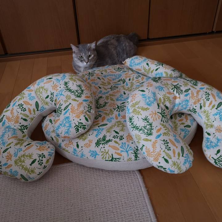 6aecbc91 4532 41ae 95d5 bc736d9676cf 1560515013622