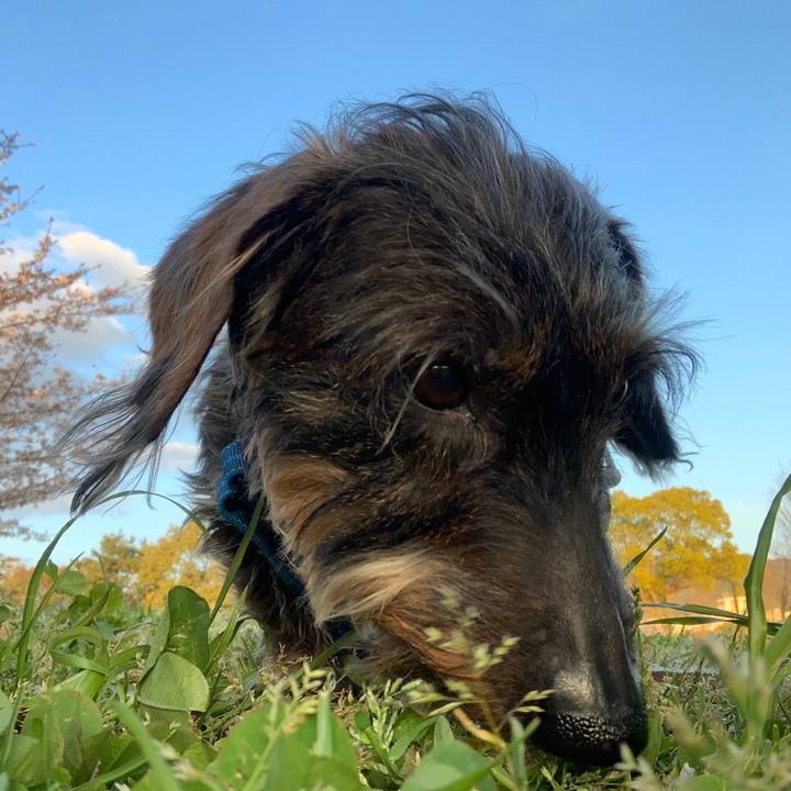 6aecd80e cd74 4135 8f6b 683fd80d0f25 1586583014873