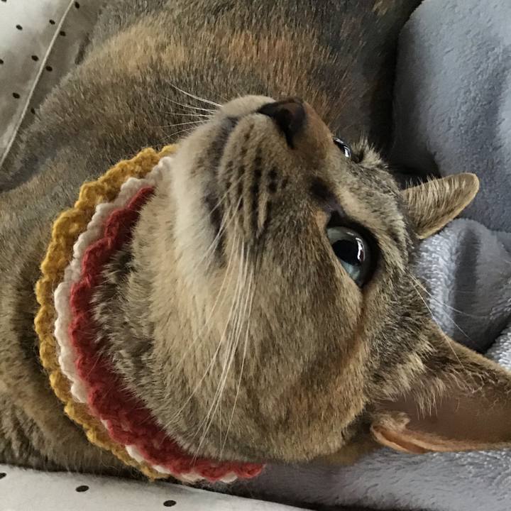 6aece5d6 ec27 497e 8a22 7035f14bba0f 1622845986614