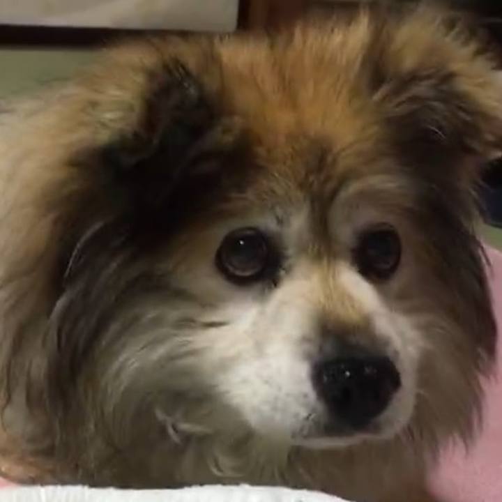 6aecebc8 e49d 4e55 bc72 28ba47c65df5 1592285504722