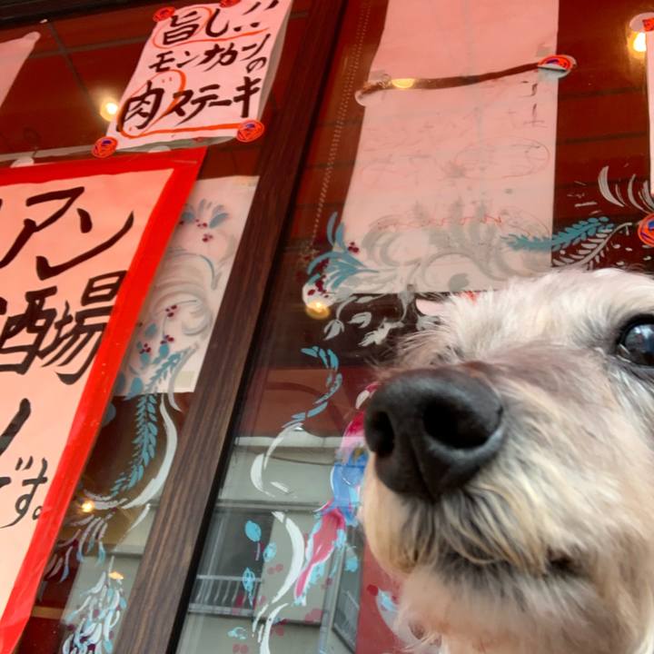 6aed6842 93b1 44e8 9338 250c16d726d7 1581938995938