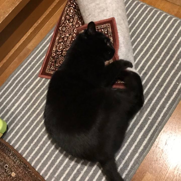 6aedb87f 90c8 4701 a404 4c33dacf6168 1511141227140