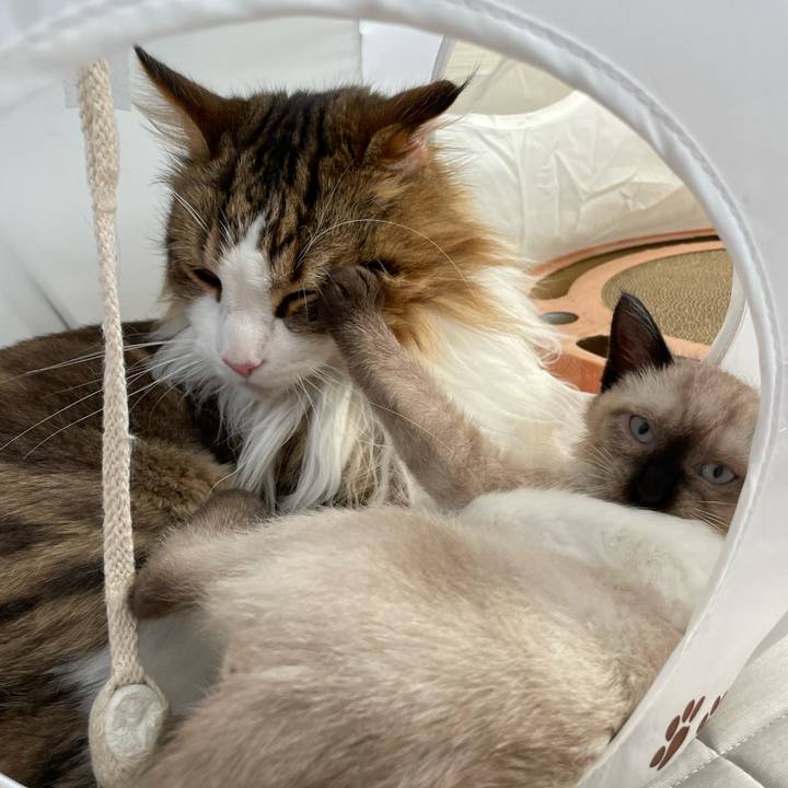 6aedbb09 f18e 4dfb b0bb 6f7b296f5819 1690101197886