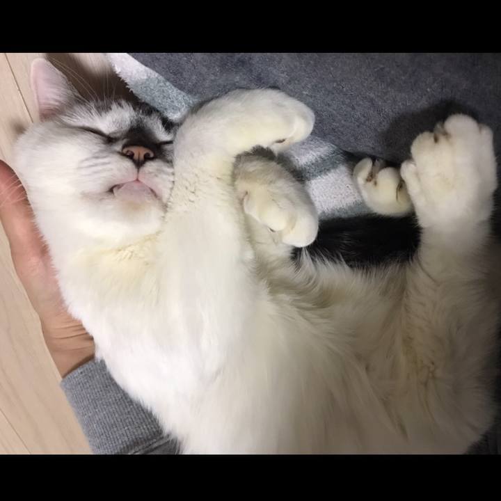 6aedce38 e26b 458b bf2e 1a8ec69effcf 1545291665500