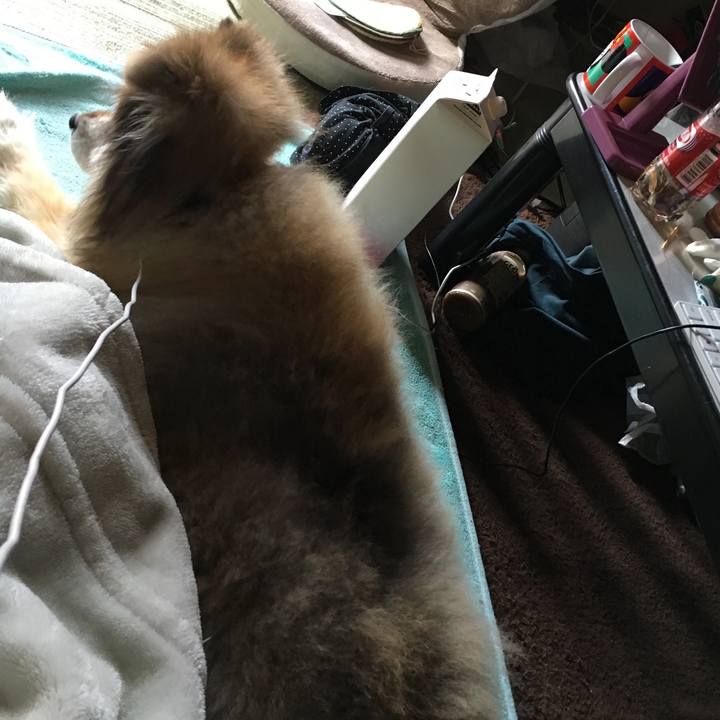 6aedd68d a6fb 40ca 9f60 e2ffeb857034 1590352597830