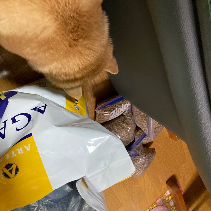 6aedfed2 21ab 4730 b818 fd8be17877db 1617798335529