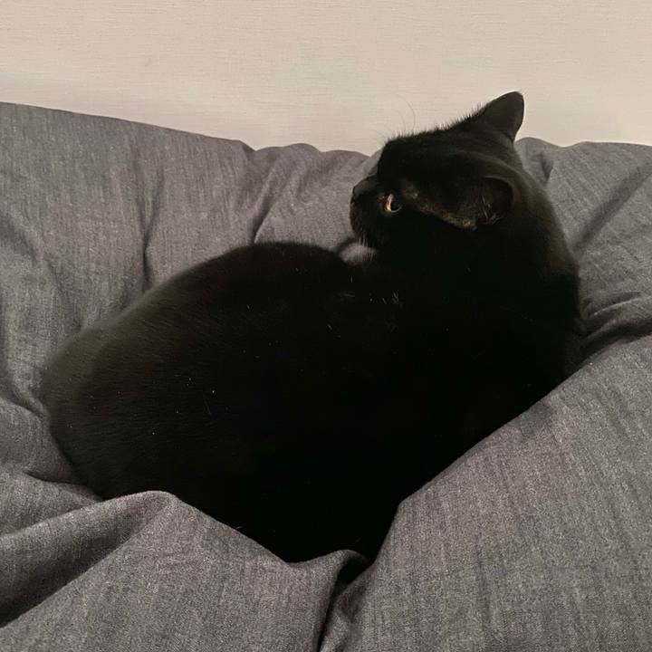 6aee141d 12b4 4c7a 93dc 9be8977addf3 1701692924704