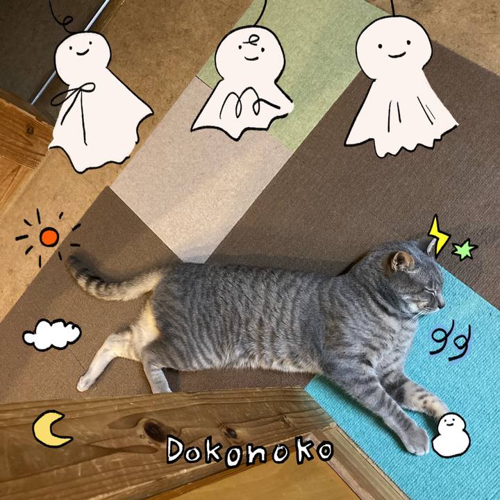 6aee304e 7d08 471c 9f06 b5179b15e3ca 1749214027675