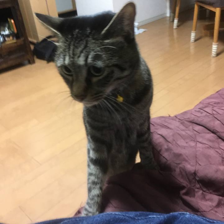 6aee5f09 93ad 456b 8132 e6b0f88f43d0 1574495446321