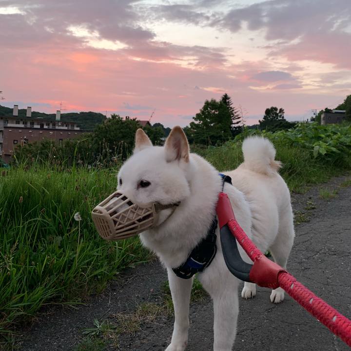 6aee65aa dc27 48ca 9efd e48de6e103b9 1659903406429