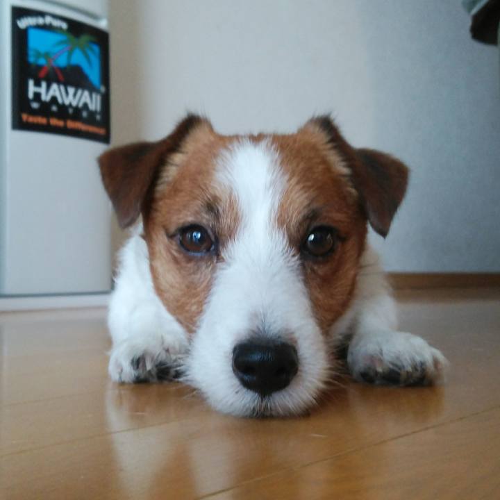 6aeedb76 4c2c 483f 88c2 55e57ec06f26 1524956265901