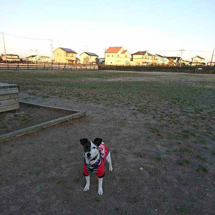 6aeedd72 521e 45c1 853d 8ccb5f53c91e 1515915401265