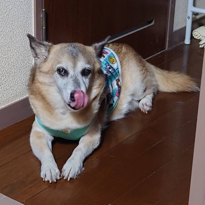 6aeedf59 e5ed 460b 91bf bcea7f273c95 1690878914220